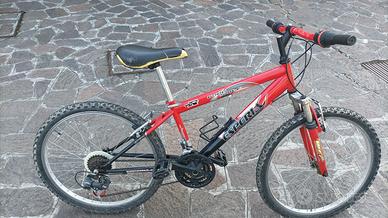 bicicletta 