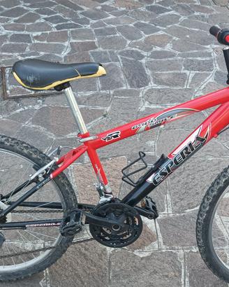 bicicletta 