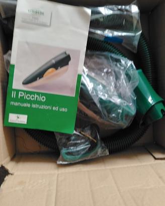 Picchio folletto
