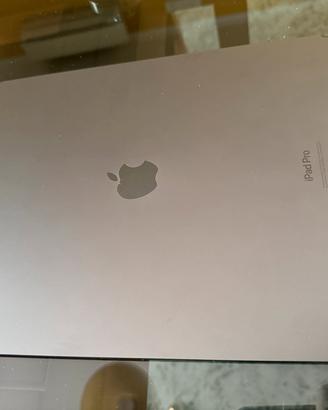 Apple IPad Pro 13” M4 256GB  + Cellular