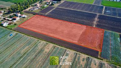 Terreno agricolo di 3 ettari pianeggiante