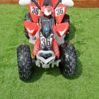 Quad polaris peg pegaso