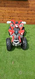Quad polaris peg pegaso