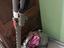 Immagine 2
