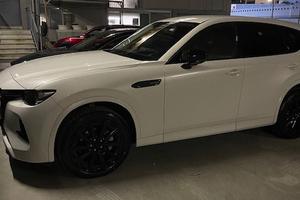 CX 60 3.3 m-hybrid boost homura convenience&sound