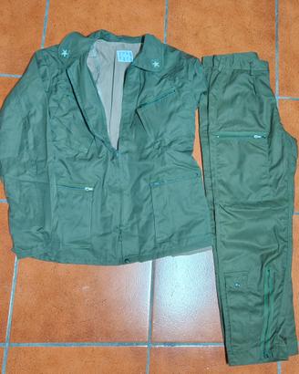 Mimetica Aeronautica 