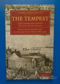 Libro letteratura inglese