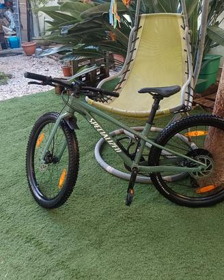 specialized 24 