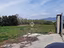 Immagine 10