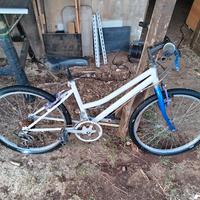 Bicicletta itek prima