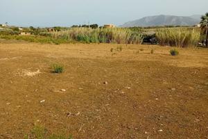 Terreno a Partinico (PA)