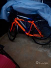 bicicletta taglia adulti