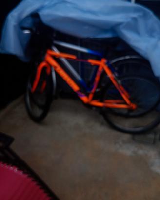 bicicletta taglia adulti