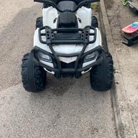 Quad elettrico