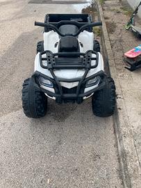 Quad elettrico