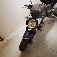 Suzuki gladius 