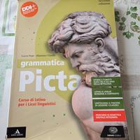 Libro di latino Grammatica picta 