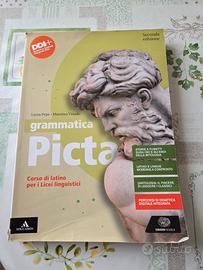 Libro di latino Grammatica picta 