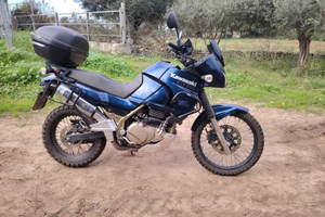 Kawasaki kle 500