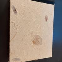 Album foto