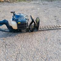 TAGLIA SIEPI EINHELL A SCOPPIO