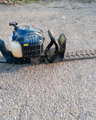 TAGLIA SIEPI EINHELL A SCOPPIO