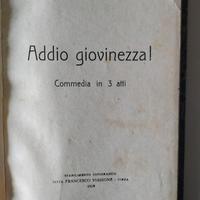 Libro "Addio Giovinezza!" 1919,