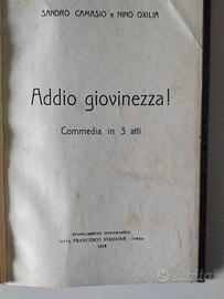 Libro "Addio Giovinezza!" 1919,