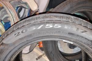 gomme estive 