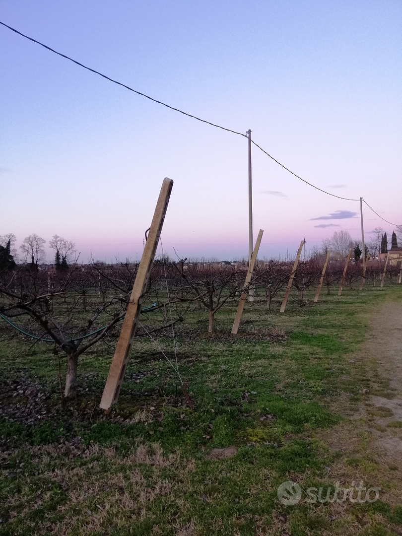 Terreni zona collinare e pianeggiante - Vista 3