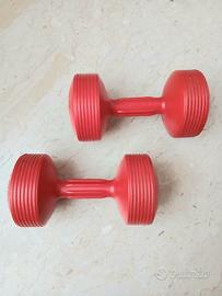 Coppia di manubri da kg. 6 (kg. 3 + kg. 3)