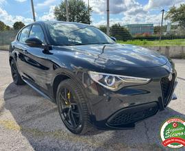 ALFA ROMEO Stelvio 2.2 Q4 AT8 210cv Veloce Pinze