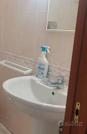 sanitari idel standard 