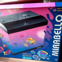 Aquario 30 litri con sassolini pianta anfore risc