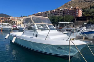Barca pilotina 6,25 m