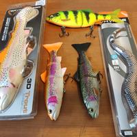 lotto luccio Savage gear