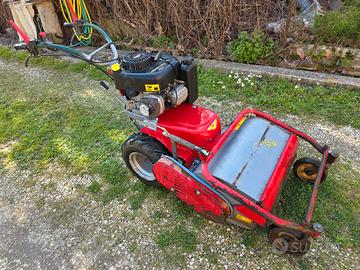 trinciasarmenti meccanica benassi 10,5 cavalli 