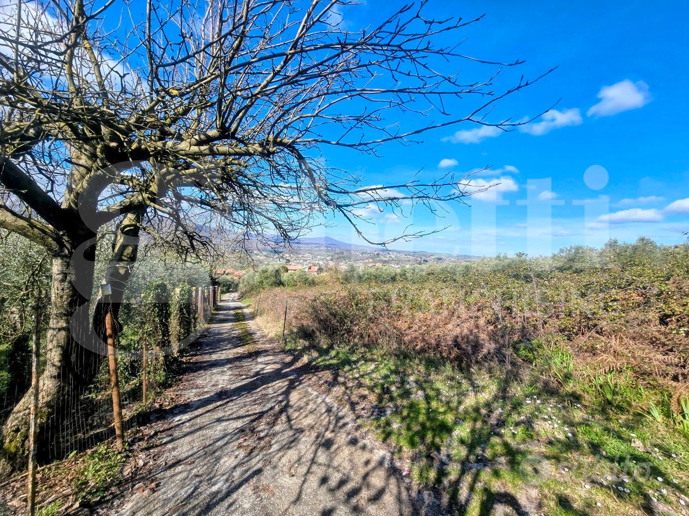 Rustico/Casale/Corte Artena [Cod. rif 3298235VCG] - Vista 5