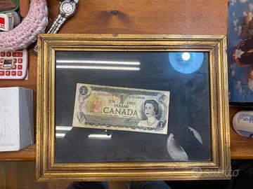 Quadretto con banconota un dollaro canadese