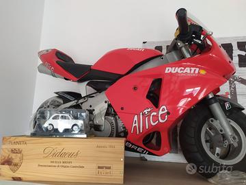 Polini Altro modello