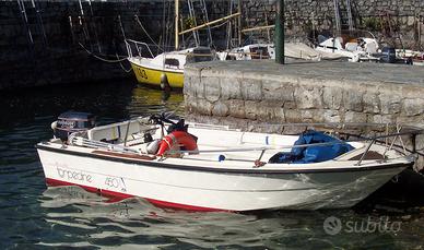 Torpedine Motore Evinrude eTech 25hp