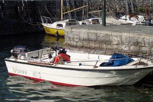 Torpedine Motore Evinrude eTech 25hp