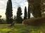Immagine 21