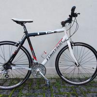 Bici Torpado