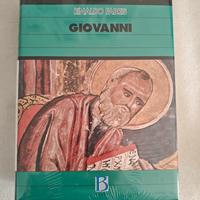 commenti ai vangeli edizioni Borla 
