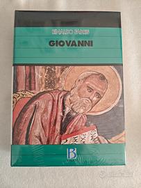 commenti ai vangeli edizioni Borla 