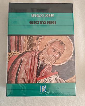 commenti ai vangeli edizioni Borla 