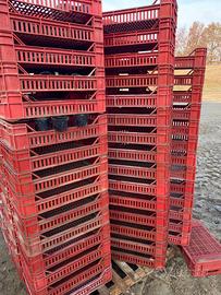 Cassette in plastica