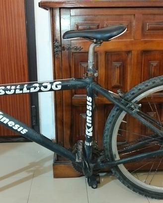 bicicletta MTB da sistemare 
