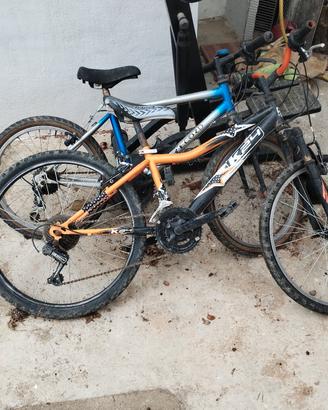 biciclette da bambino 